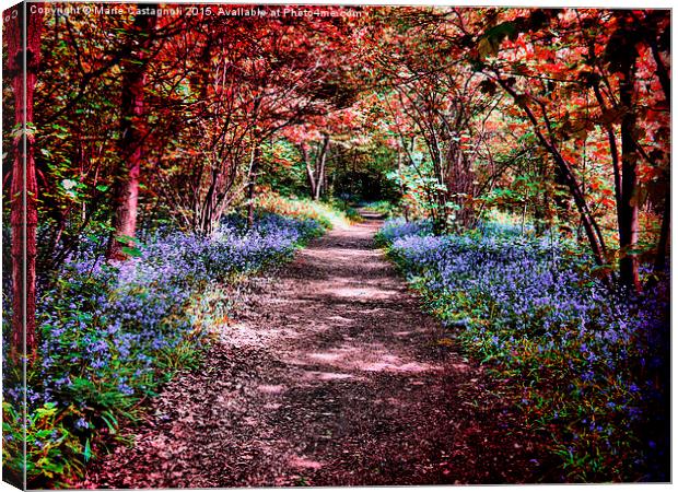  Blue bell Pathway Canvas Print by Marie Castagnoli