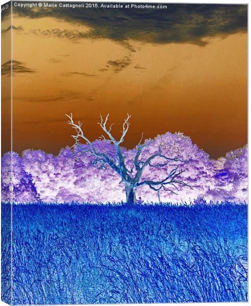 The Dead Tree Canvas Print by Marie Castagnoli