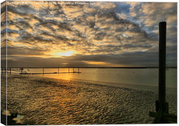  A Golden Day In December Canvas Print by Marie Castagnoli