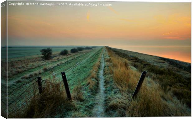  Walkway to the wilderness Canvas Print by Marie Castagnoli
