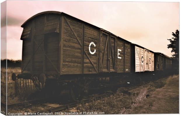 Old Railway Wagons Canvas Print by Marie Castagnoli