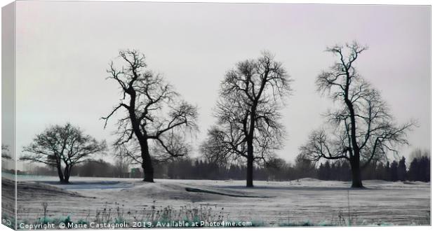 Dead Of Winter Canvas Print by Marie Castagnoli