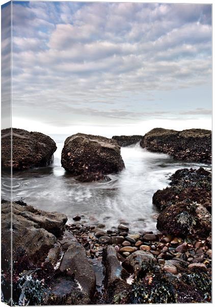 Auchmithie Beach and Harbour, Scotland Canvas Print by Ian Potter