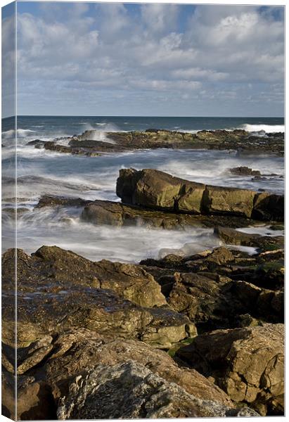Kingsbarns in Fife Canvas Print by Ian Potter