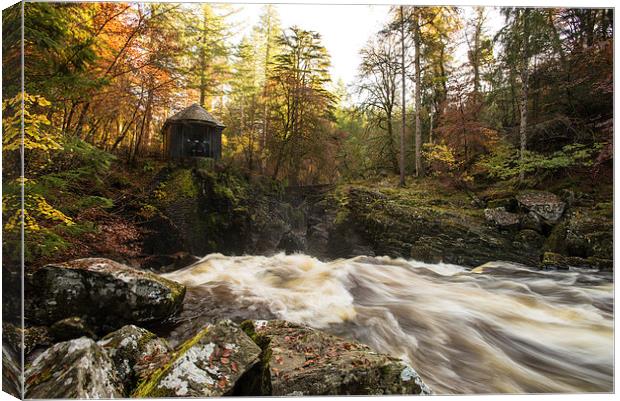  Autumnal Beauty at The Hermitage, Perthshire Canvas Print by Ian Potter