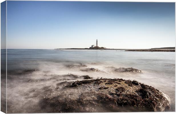 St Marys Lighthouse Canvas Print by Tom Hibberd