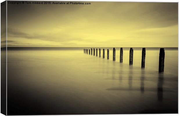  Golden tranquility Canvas Print by Tom Hibberd
