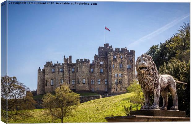  Standing Guard over Alnwick Castle Canvas Print by Tom Hibberd