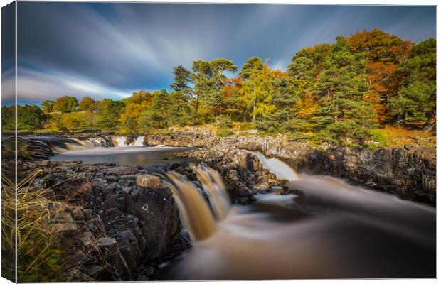 Low Force waterfall, Teesdale Canvas Print by Tom Hibberd