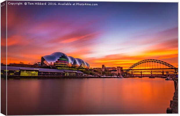 Sage and Tyne sunset Canvas Print by Tom Hibberd