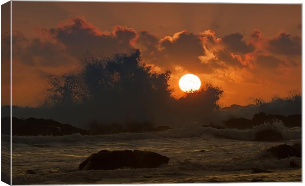 Wave at Sunset Canvas Print by Mary Fletcher