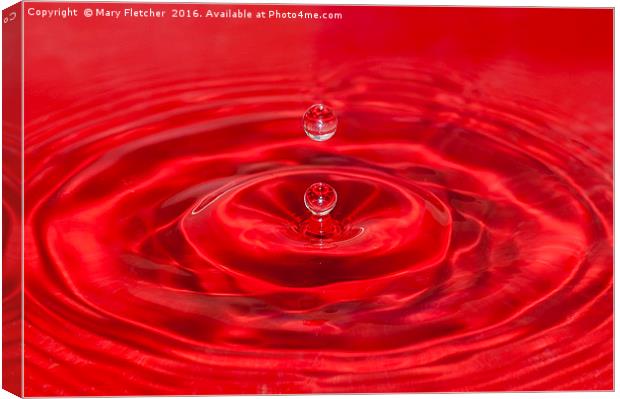 Red Water Canvas Print by Mary Fletcher