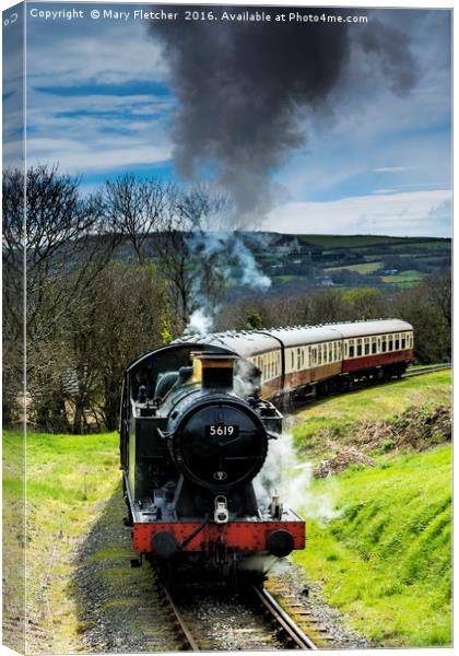 Bodmin and Wenford Railway Canvas Print by Mary Fletcher