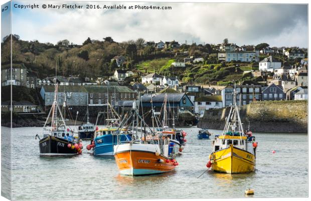 Mevagissey Harbour, Cornwall Canvas Print by Mary Fletcher