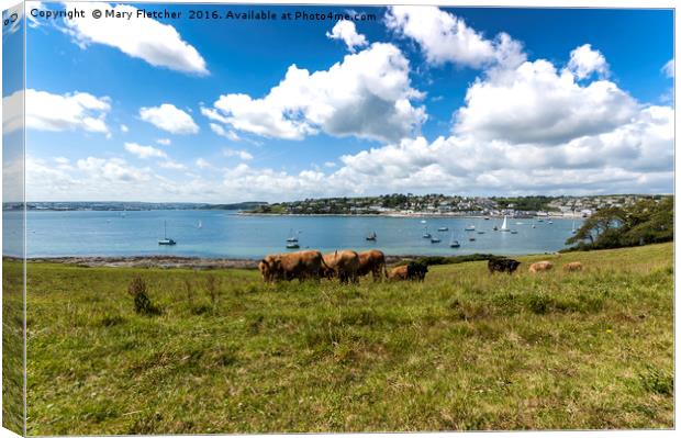St Mawes Harbour Canvas Print by Mary Fletcher
