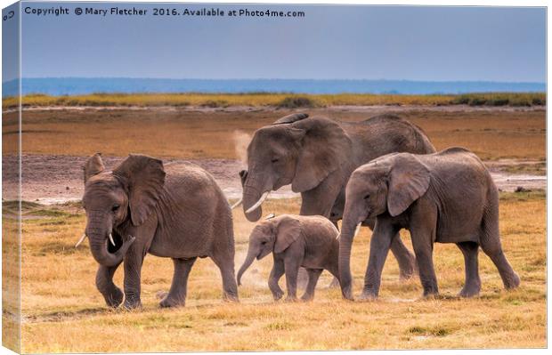 African Elephant Family Canvas Print by Mary Fletcher