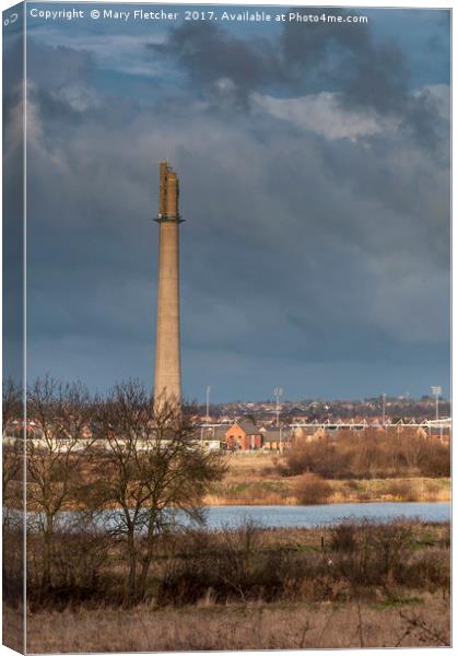 The National Lift Tower Canvas Print by Mary Fletcher