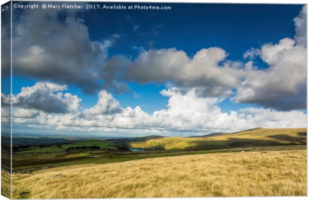 The View to Meldon Reservoir Canvas Print by Mary Fletcher