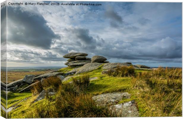 Tor on Bodmin Moor Canvas Print by Mary Fletcher