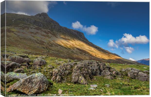 Light in Langdale Canvas Print by Mary Fletcher