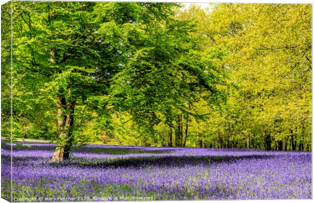 Blue Carpet Canvas Print by Mary Fletcher