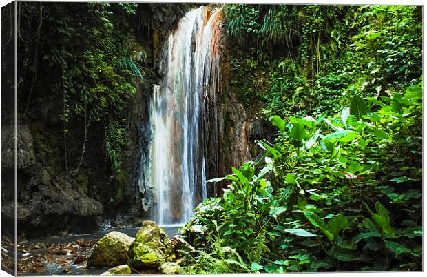 Tropical Waterfall Canvas Print by Pauline Lewis