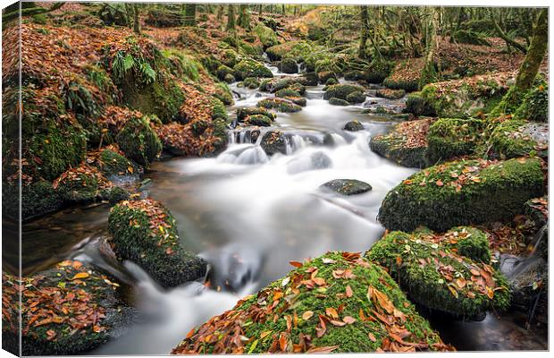  autumn stream Canvas Print by Kelvin Rumsby