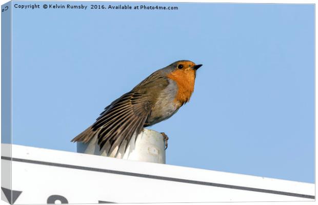 Sign robin Canvas Print by Kelvin Rumsby