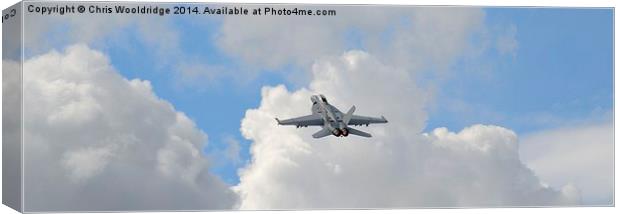  F18 Hornet Canvas Print by Chris Wooldridge