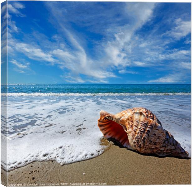 Beach with shell Canvas Print by Constantinos Iliopoulos