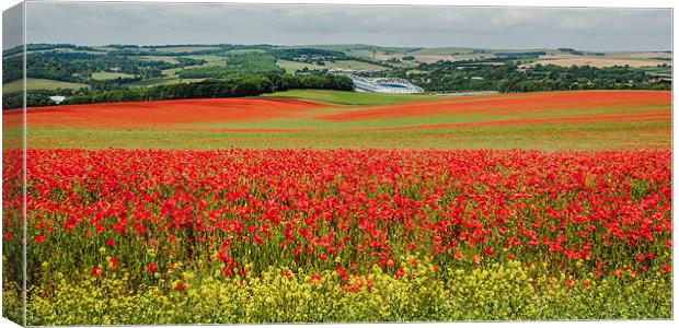 Poppy Field in Sussex Canvas Print by sam moore