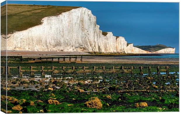 seven sisters Canvas Print by sam moore