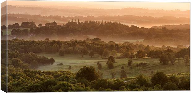  Ashdown Forest Canvas Print by sam moore