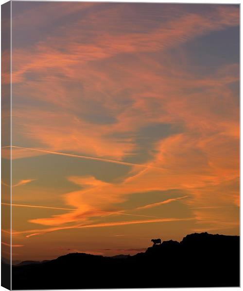  A New Day Canvas Print by Kevin OBrian