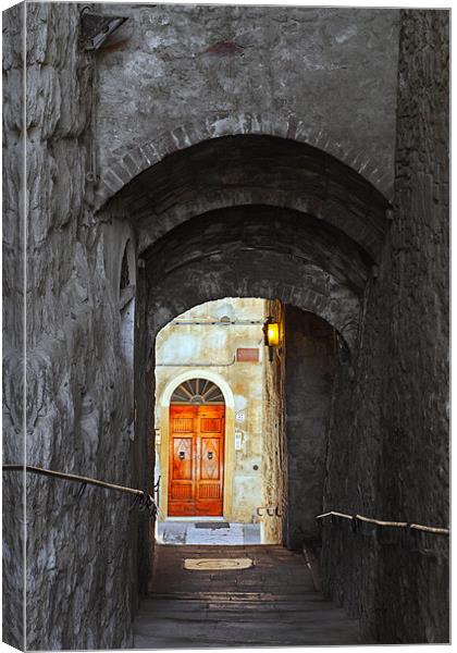 Down to the Tuscan doorway. Canvas Print by Ian Duffield