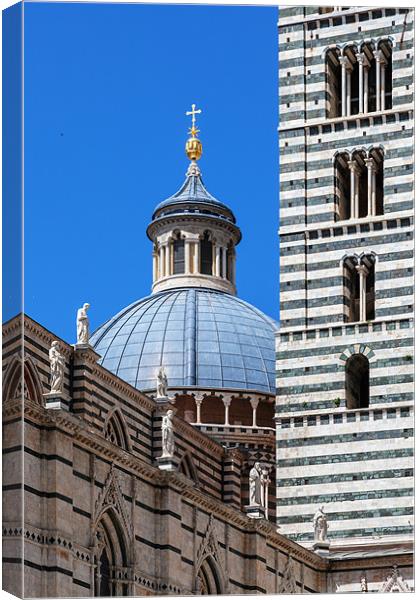 Siena Duomo and Campanile Canvas Print by Ian Duffield