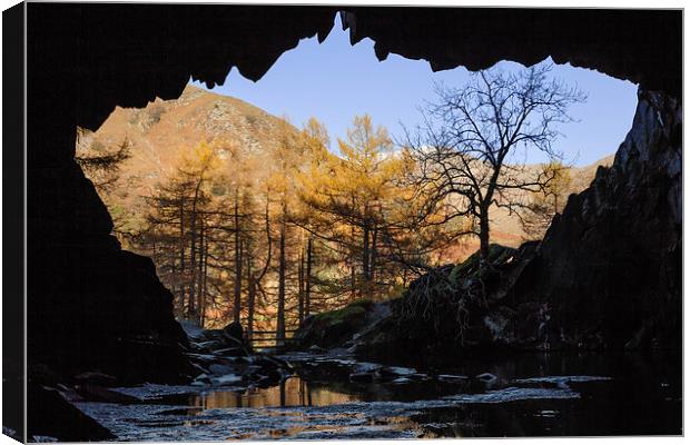 View from Rydal Cave Canvas Print by Ian Duffield