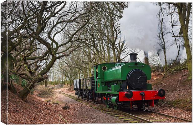 Goods train through the woods Canvas Print by Ian Duffield