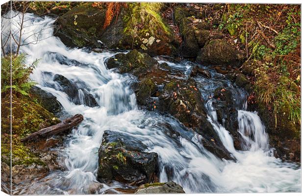 Babbling Beck Canvas Print by Ian Duffield
