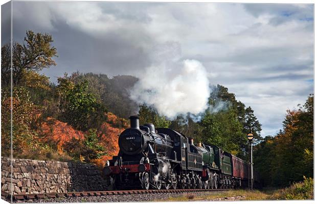  Double-header in lovely light at Dowles Junction Canvas Print by Ian Duffield
