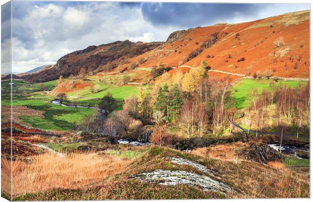 Looking North from Watendlath Canvas Print by Ian Duffield