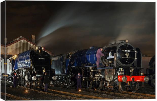 Steam locomotives on shed at night  Canvas Print by Ian Duffield