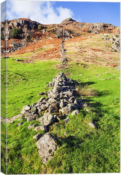 Rocky trail to the Langdale Pikes  Canvas Print by Ian Duffield