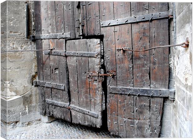 Weathered wooden doors Canvas Print by Regis Yaworski