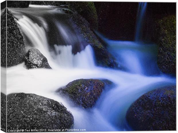 Changing Waters Canvas Print by Ted Miller
