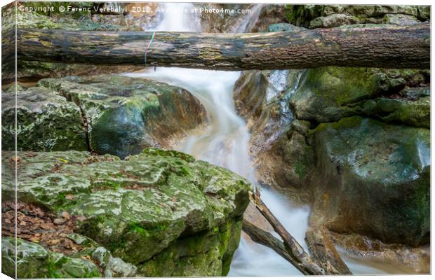 slow motion     Canvas Print by Ferenc Verebélyi