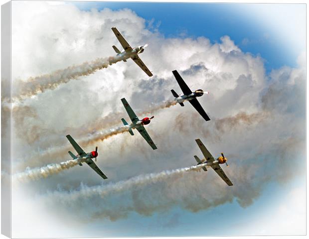 Yak formation Flying. Canvas Print by Rupert Gladstone