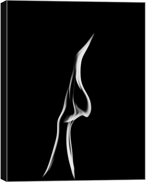 Whispering Flame Canvas Print by Paul Want