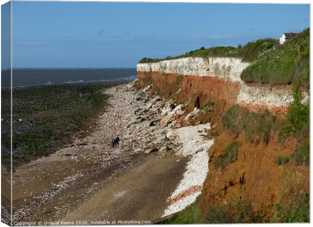 Hunstanton Cliffs & Beach Canvas Print by Ursula Keene