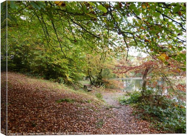 Walk by Keston Ponds in the autumn Canvas Print by Ursula Keene
